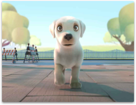 What are the skills of the later editing of the promotional film?
